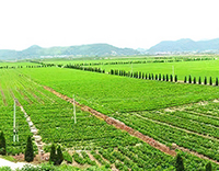 農(nóng)業(yè)環(huán)境